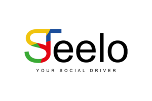 Steelo Your Social Driver Logo